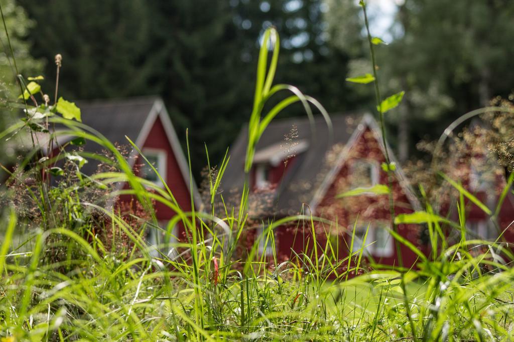 Villa Erzgebirgsidyll Breitenbrunn  Exterior foto