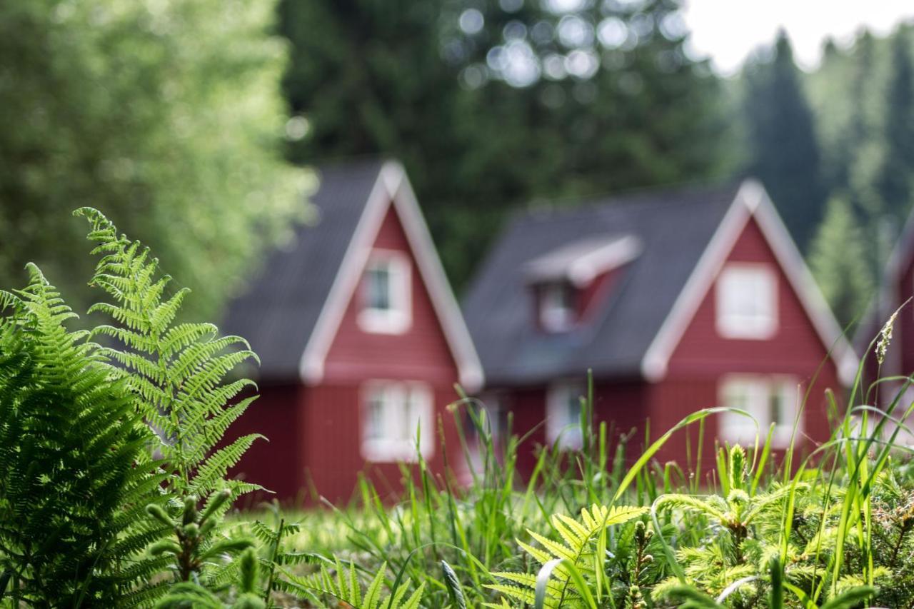 Villa Erzgebirgsidyll Breitenbrunn  Exterior foto